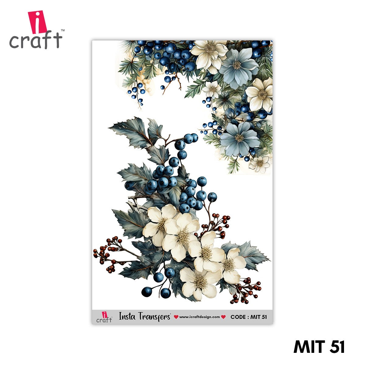 MIT 51
