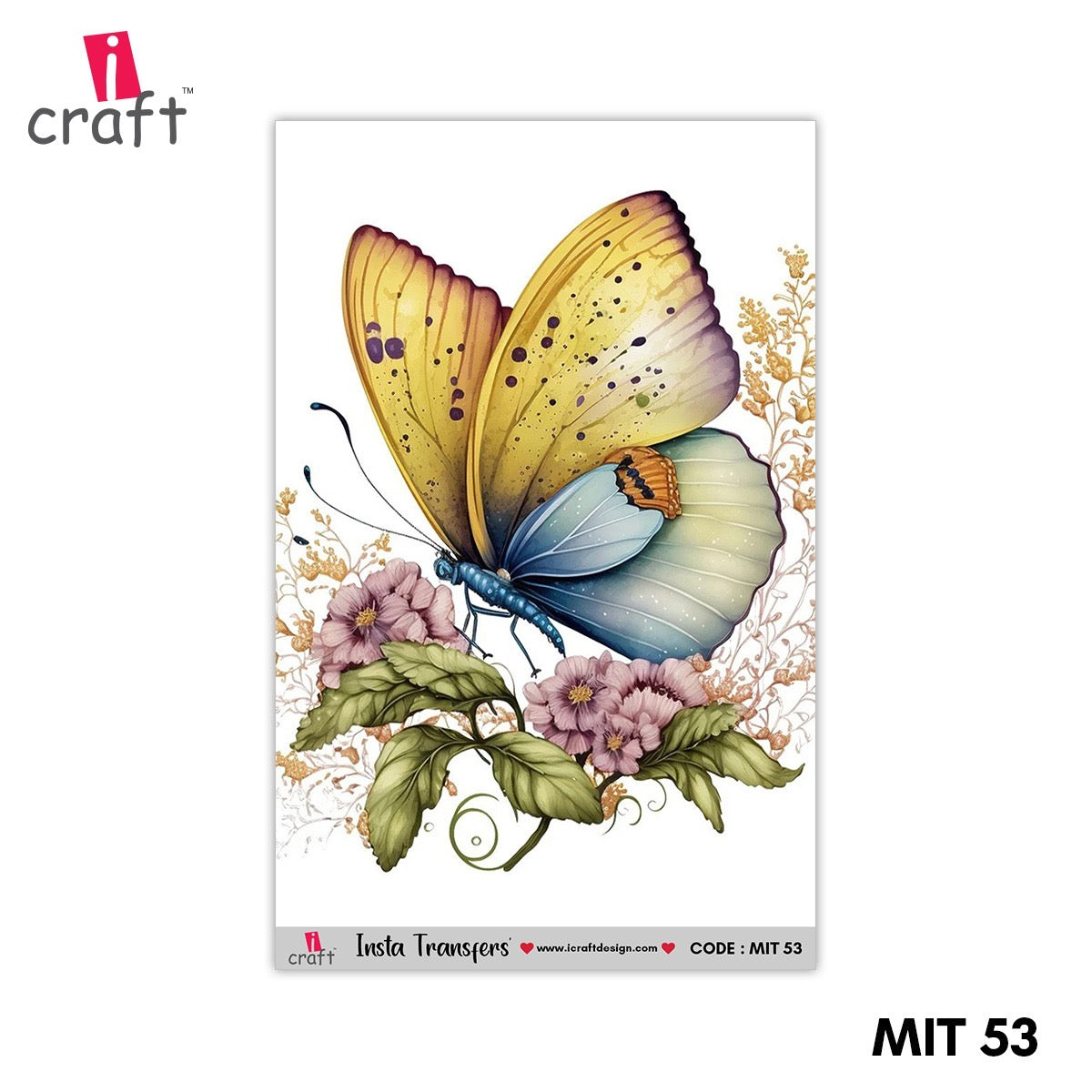 MIT 53