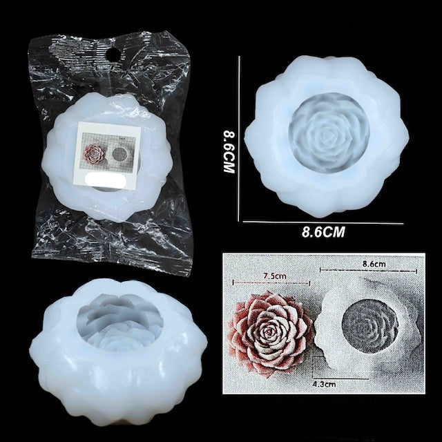 Silicon mould - 4