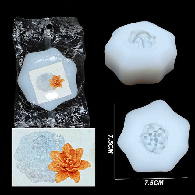 Silicon mould -6