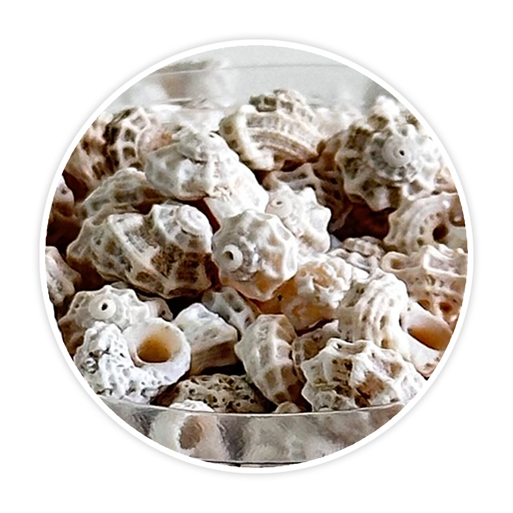 Shells 2