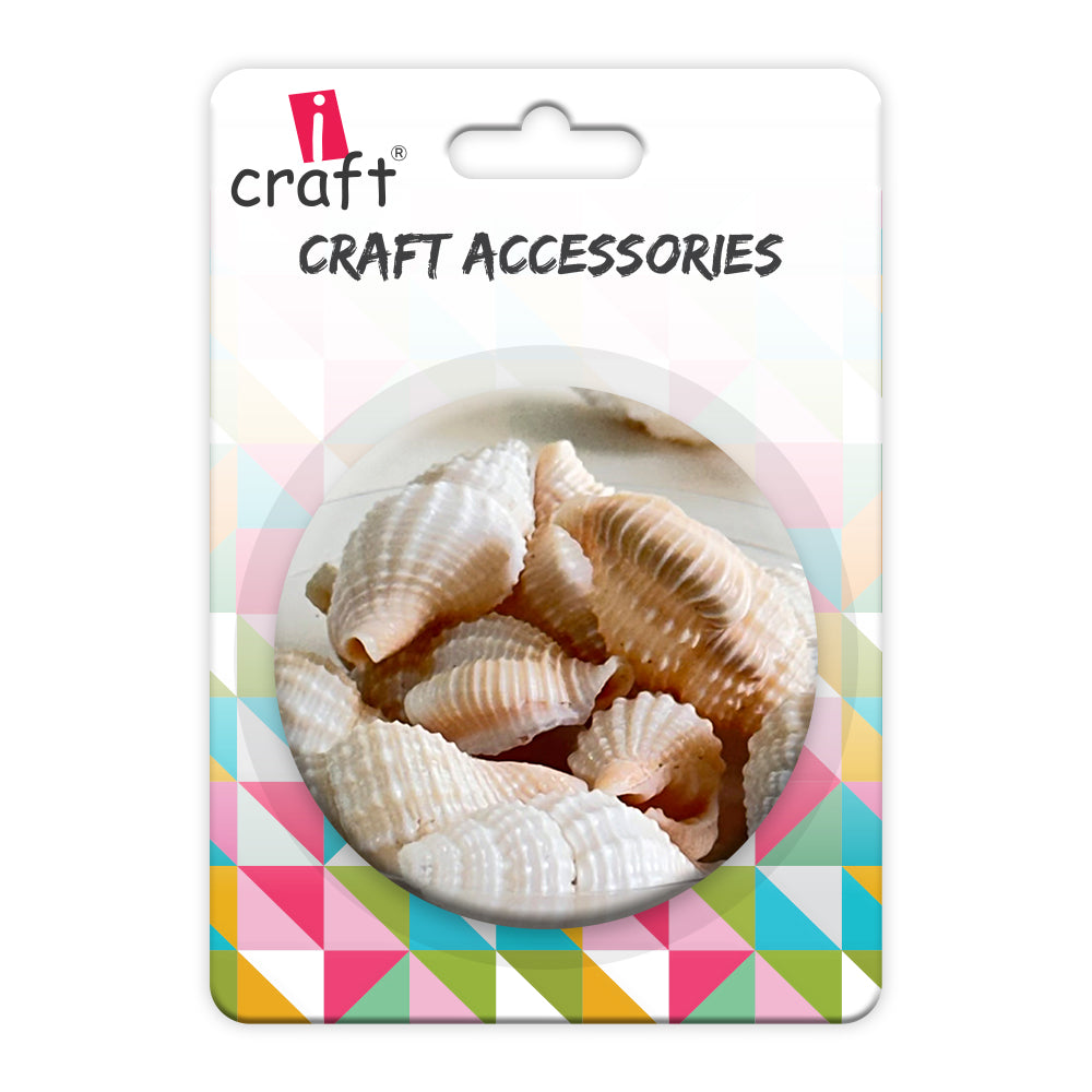 Shells 7
